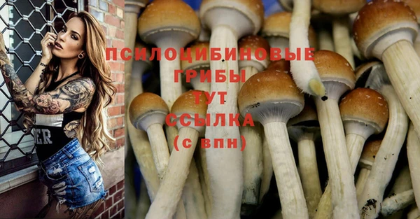 мескалин Куйбышев